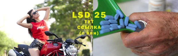 PSILOCYBIN Кулебаки