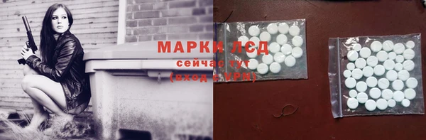 PSILOCYBIN Кулебаки