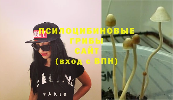 PSILOCYBIN Кулебаки