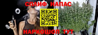 МДПВ Гагарин