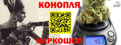 a pvp Гатчина